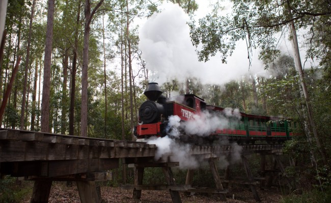 Steam Train-5616