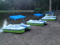 Pedal Boats on The Lake